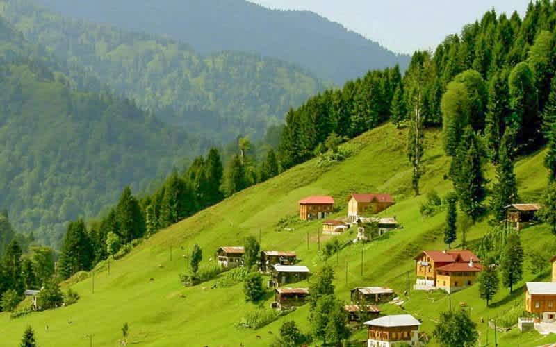 Ayder Yaylası